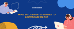 How to convert a string to lowercase in PHP?